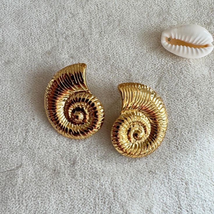 Sea shell earrings